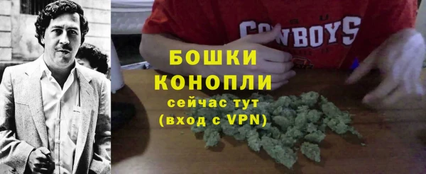 шишки Алзамай