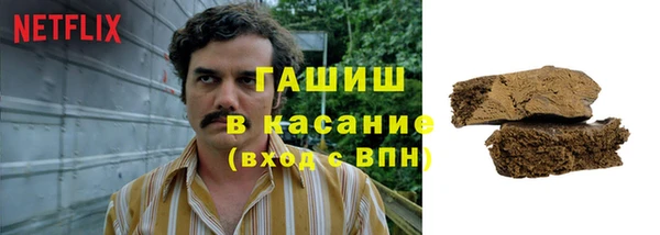 шишки Алзамай
