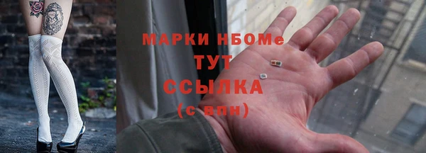 шишки Алзамай