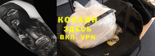 шишки Алзамай
