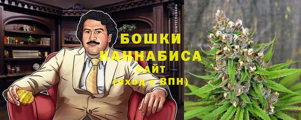 шишки Алзамай