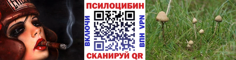 Псилоцибиновые грибы Magic Shrooms Змеиногорск